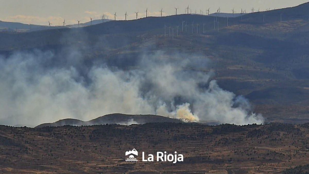 Declarados dos incendios forestales cercanos este viernes por la tarde en Igea e Inestrillas