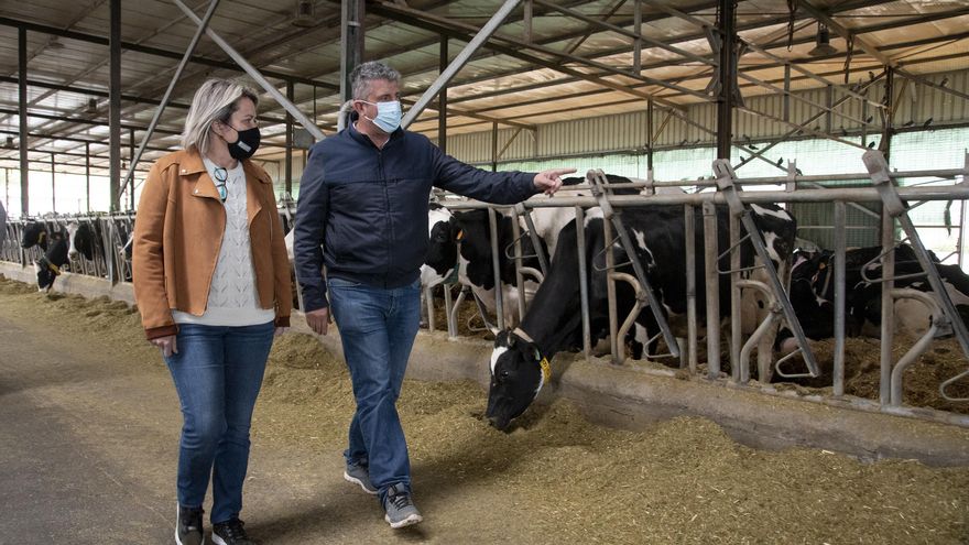 La ganadería en Canarias no cubre sus gastos ni con las ayudas del Gobierno