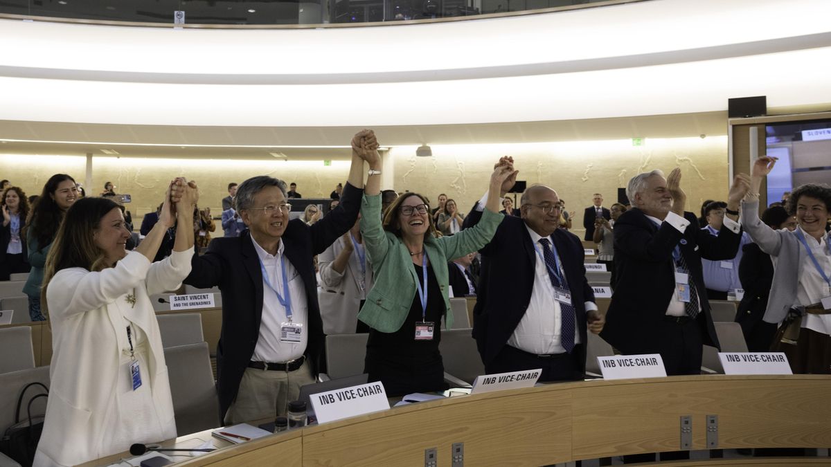 La jefa de la unidad de enfermedades emergentes y zoonosis de la OMS, Maria Van Kerkhove, y otros miembros del Órgano Intergubernamental de Negociación (INB).