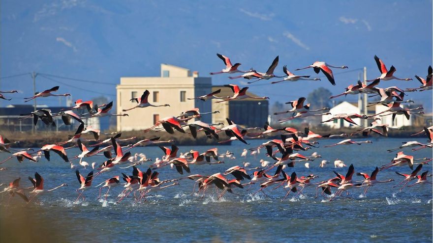 De safari ecocultural por el Delta del Ebro a pedales, en kayak y furgoneta