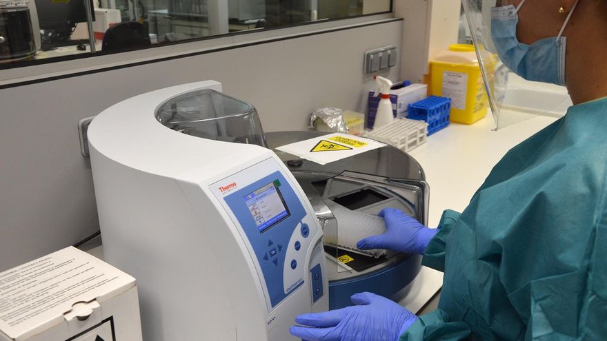 Realización de pruebas PCR