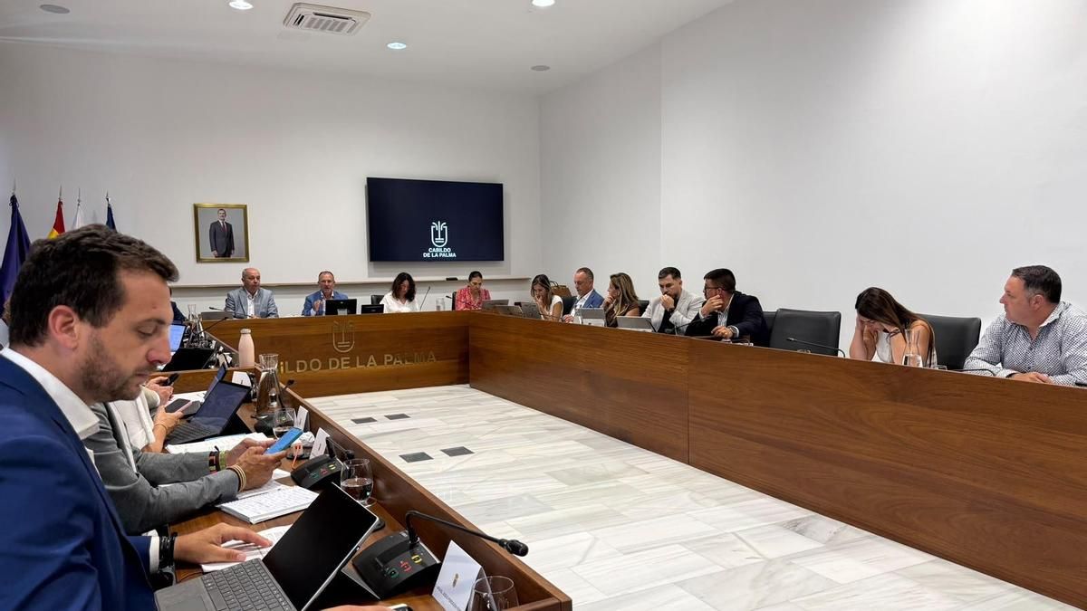 EL Cabildo de La Palma refrenda por unanimidad el acuerdo institucional de solidaridad con Venezuela y coordinará la ayuda humanitaria