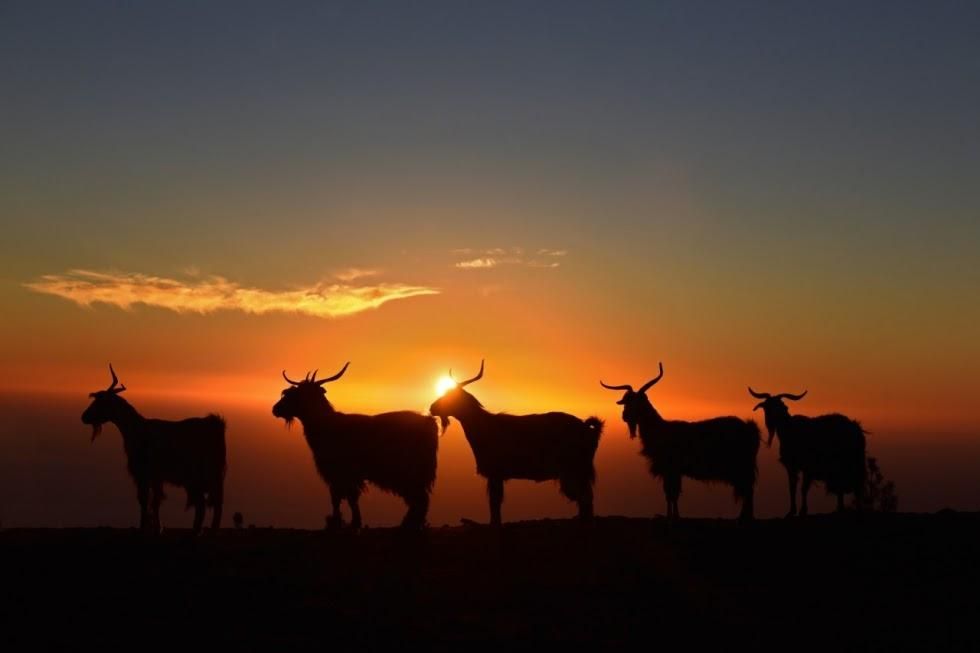'Contemplando el atardecer'. Fotografía de Saúl Santos: Mención Especial del Jurado