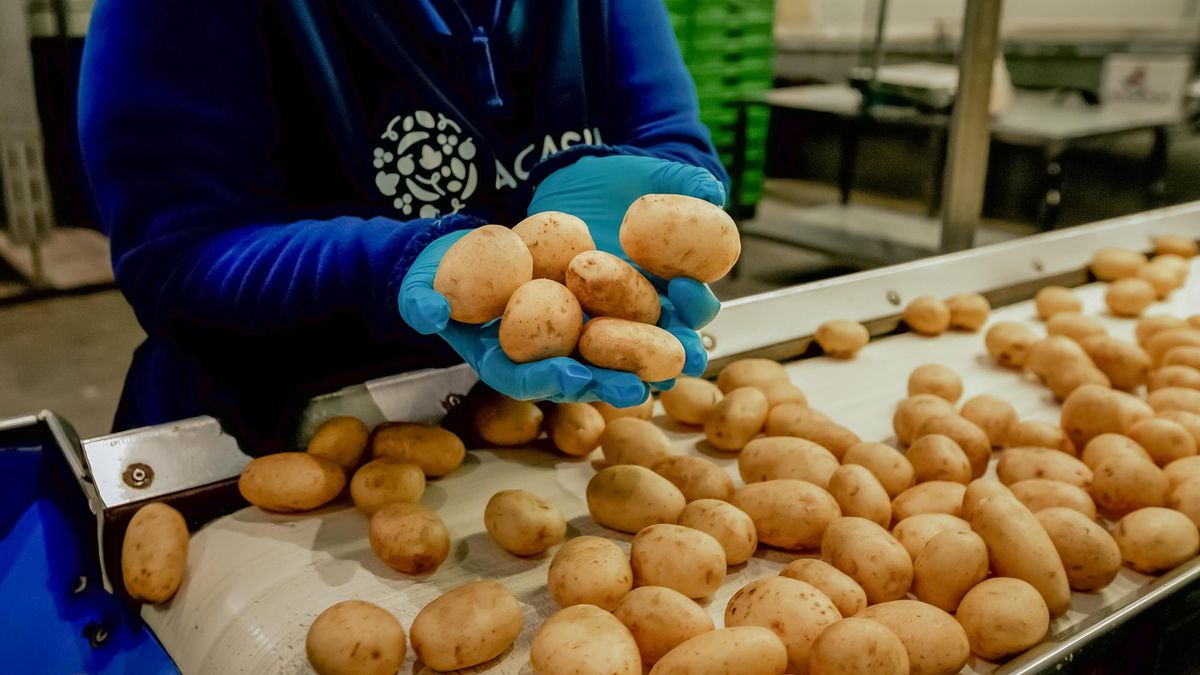Mercadona compra productos canarios por 810 millones de euros