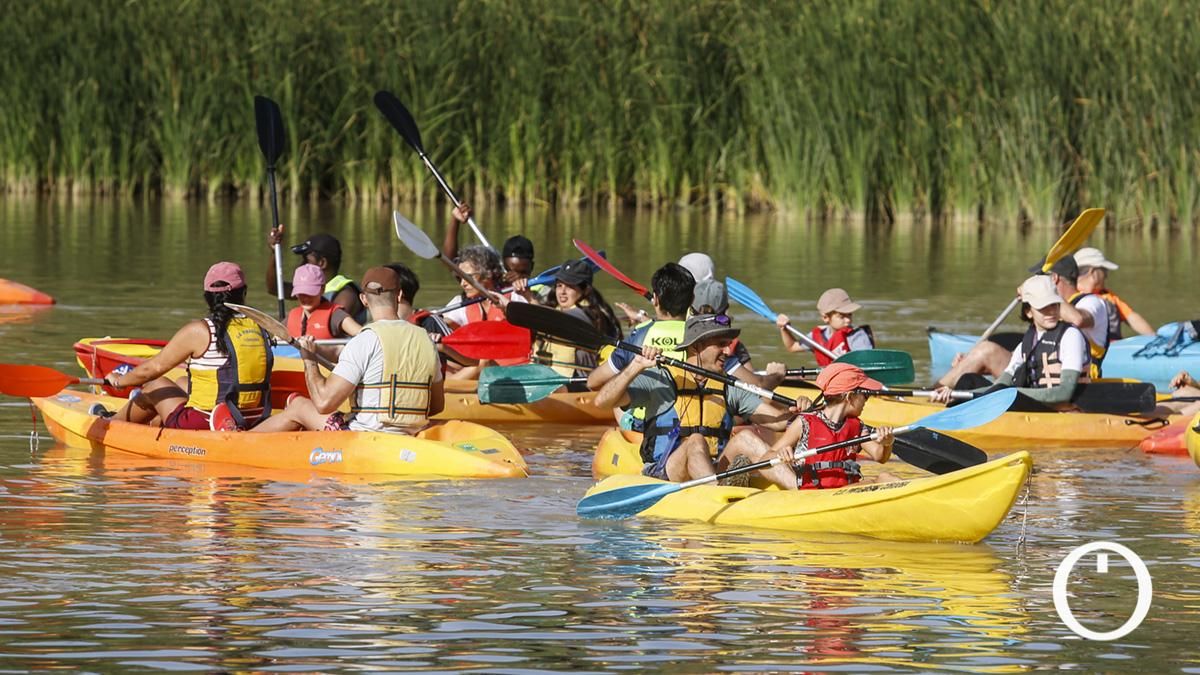 XV Ruta del Caimán