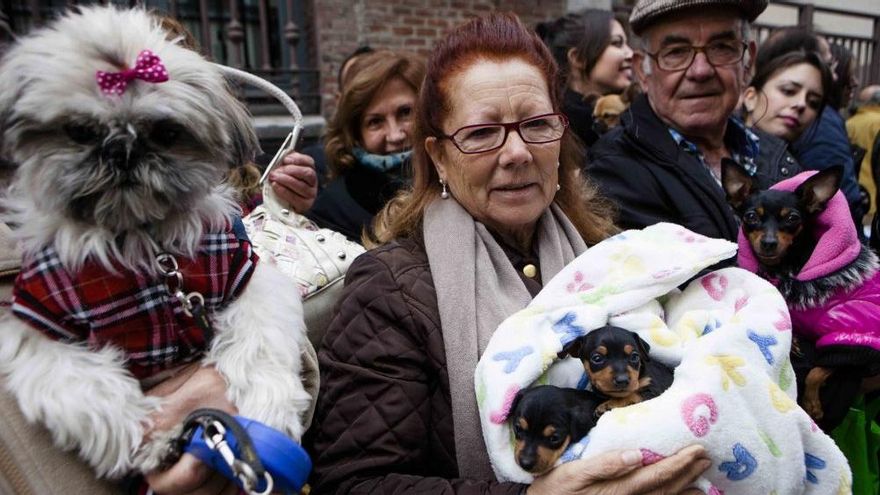 San Antón 2025 en Madrid: fechas, pregón y programa completo de la fiesta de los animales