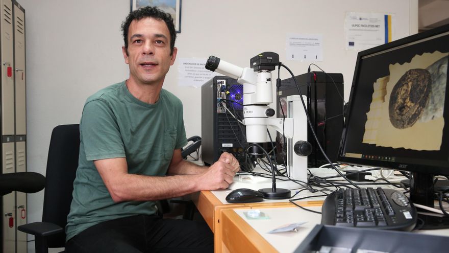 Una investigación arqueobotánica certifica que los norteafricanos trajeron la agricultura a Canarias hace 1.800 años