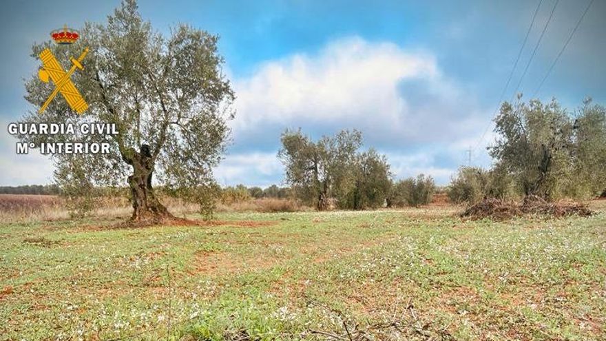 Desactivan una granada de mortero hallada en una finca de Almendralejo