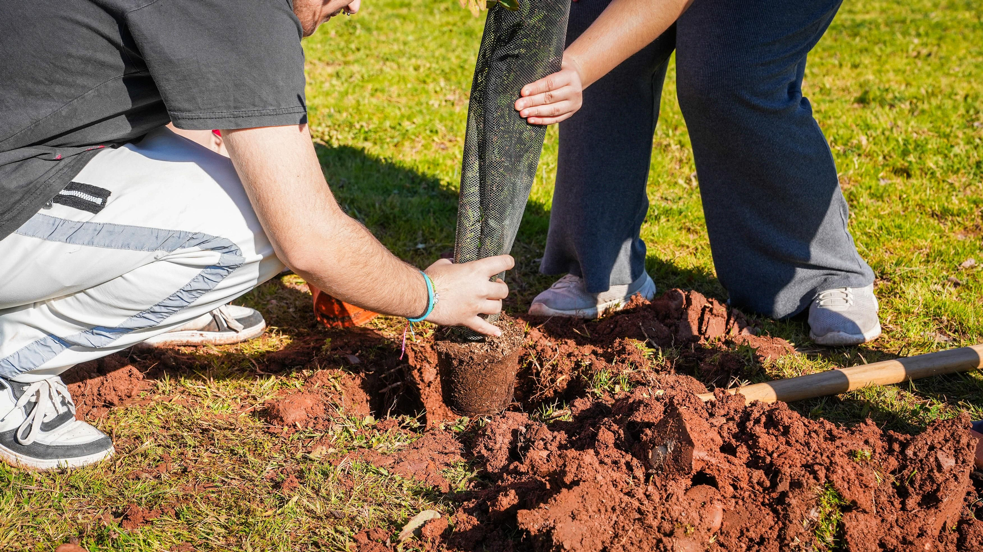 Primera plantación de EnArbolando Córdoba en La Asomadilla