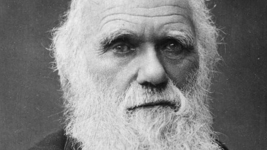 Los científicos han vuelto a los frascos originales de Charles Darwin y ahora les disparan láseres para reabrir preguntas que parecían archivadas desde hace dos siglos