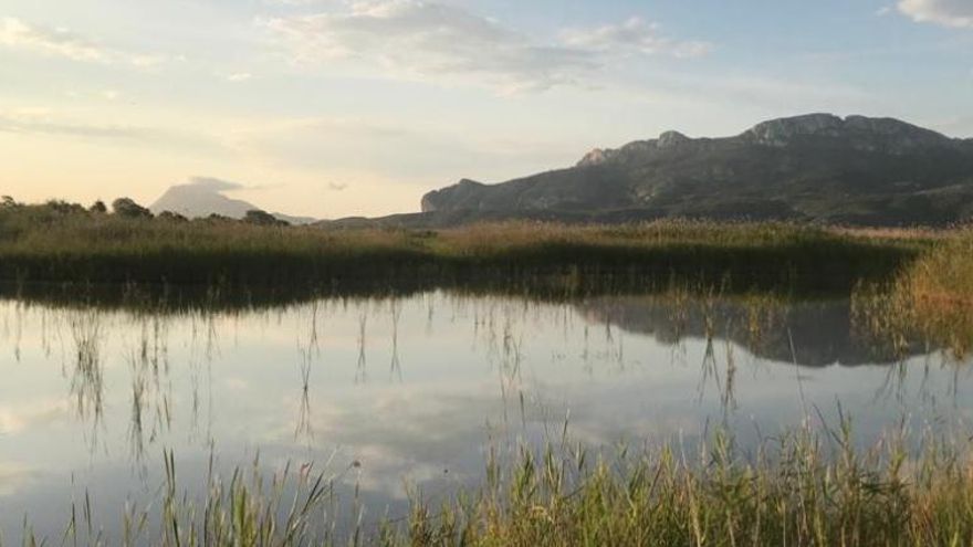 La Fiscalía archiva la denuncia por expolio de agua en el marjal Pego-Oliva pese a reconocer irregularidades