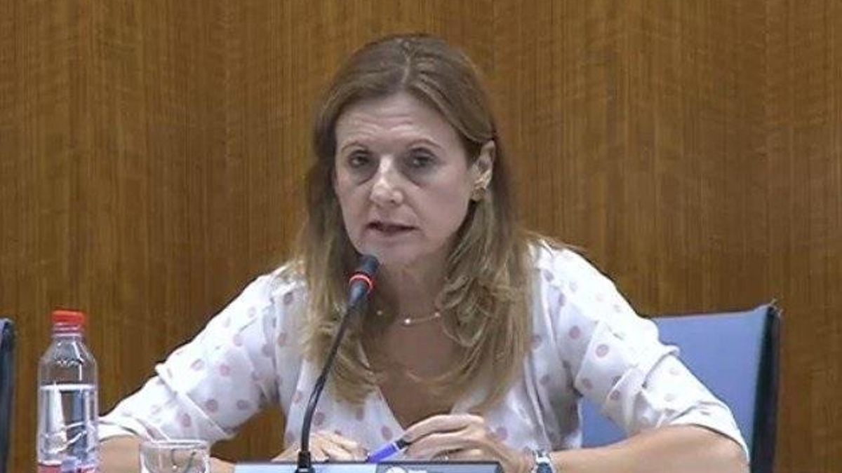 Junta informa este mes en Parlamento de la muerte de una mujer en hospital de Úbeda y de pruebas a menores en Archidona