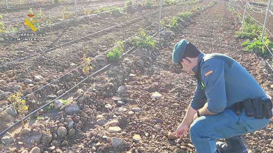 Un vecino provoca graves daños en un yacimiento romano de Calahorra para plantar viñedo