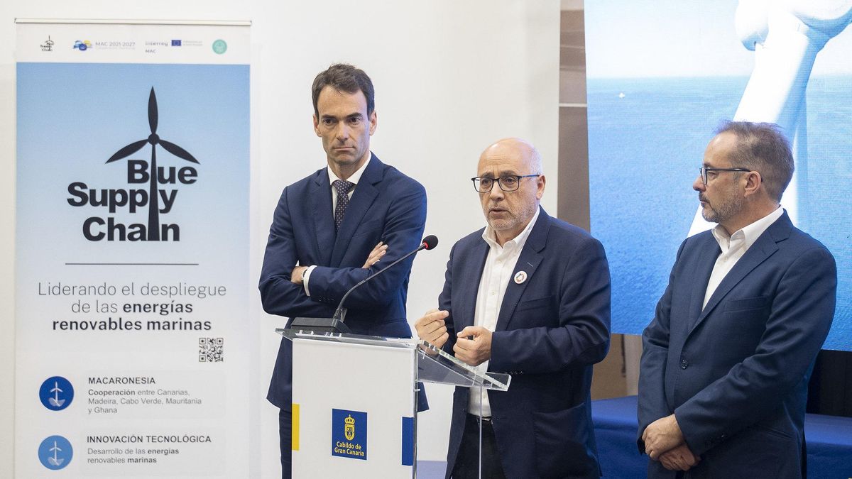 Gran Canaria propone al Gobierno que el desarrollo de la energía eólica marina en España comience en la isla