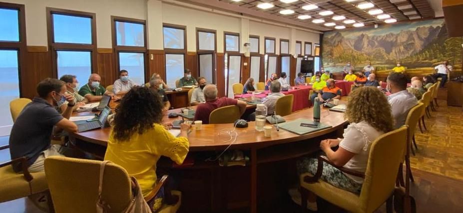 Reunión de los responsables del Cabildo con los servicios esenciales de La Palma.