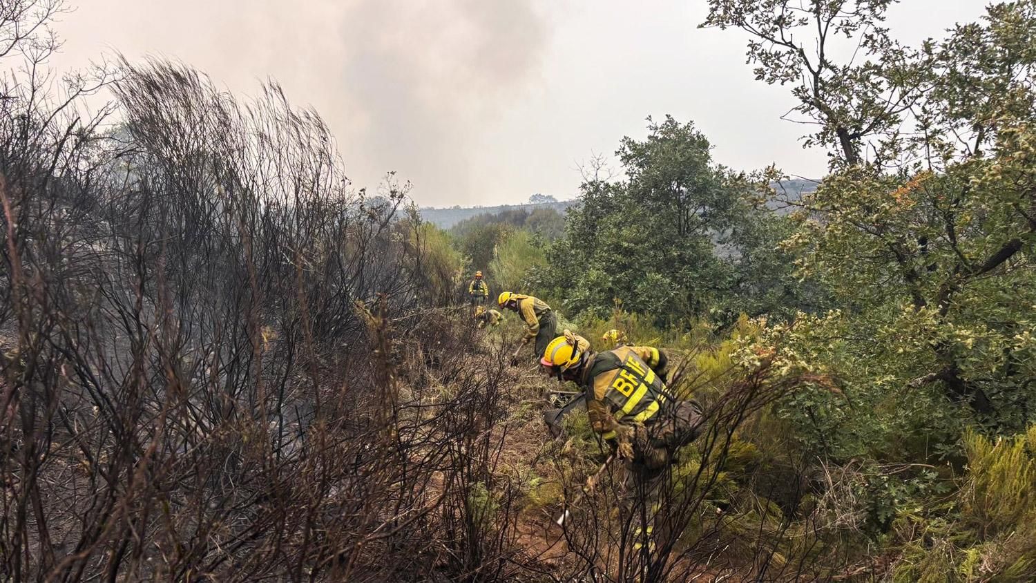 Operarios forestales en labores de comprobación de que el fuego no sigue en el suelo.