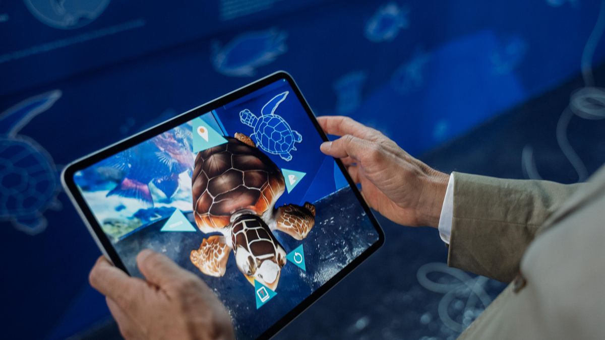 Centro de Interpretación del Océano del Futuro, en Fuencaliente. Biodiversidad en realidad aumentada.