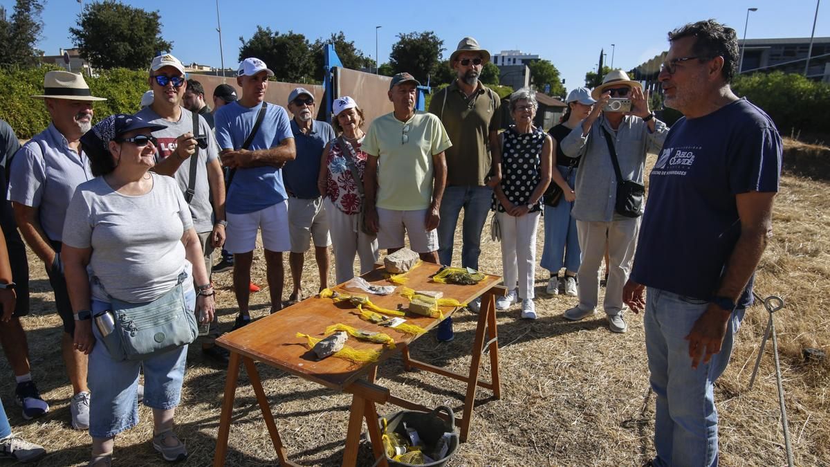 La visita abierta al público y los trabajos en el yacimiento de Cercadilla, en imágenes