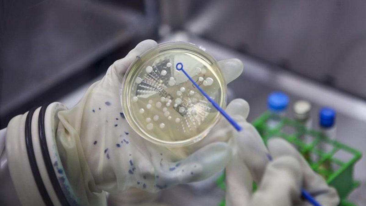 La región espera convertirse en centro infusor de terapias oncológicas CAR-T.