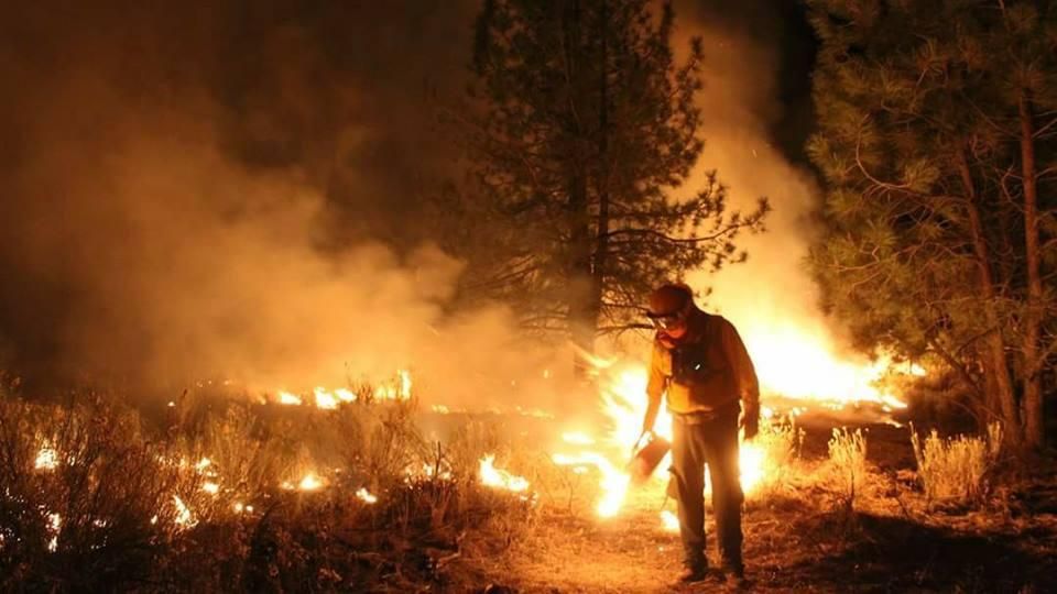 Los incendios forestales en México están asociados a por lo menos 11 000 muertes anuales. Foto: Gobierno de México
