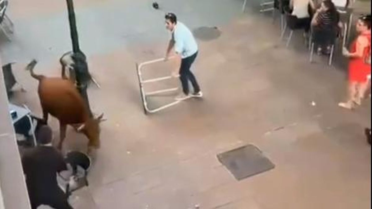 Denuncian el riesgo para los menores en los encierros infantiles tras un incidente en Calatayud