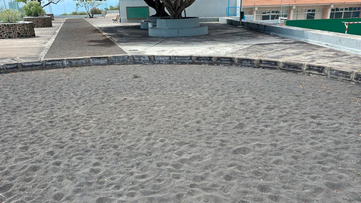 Terrero del CEIP El Roque