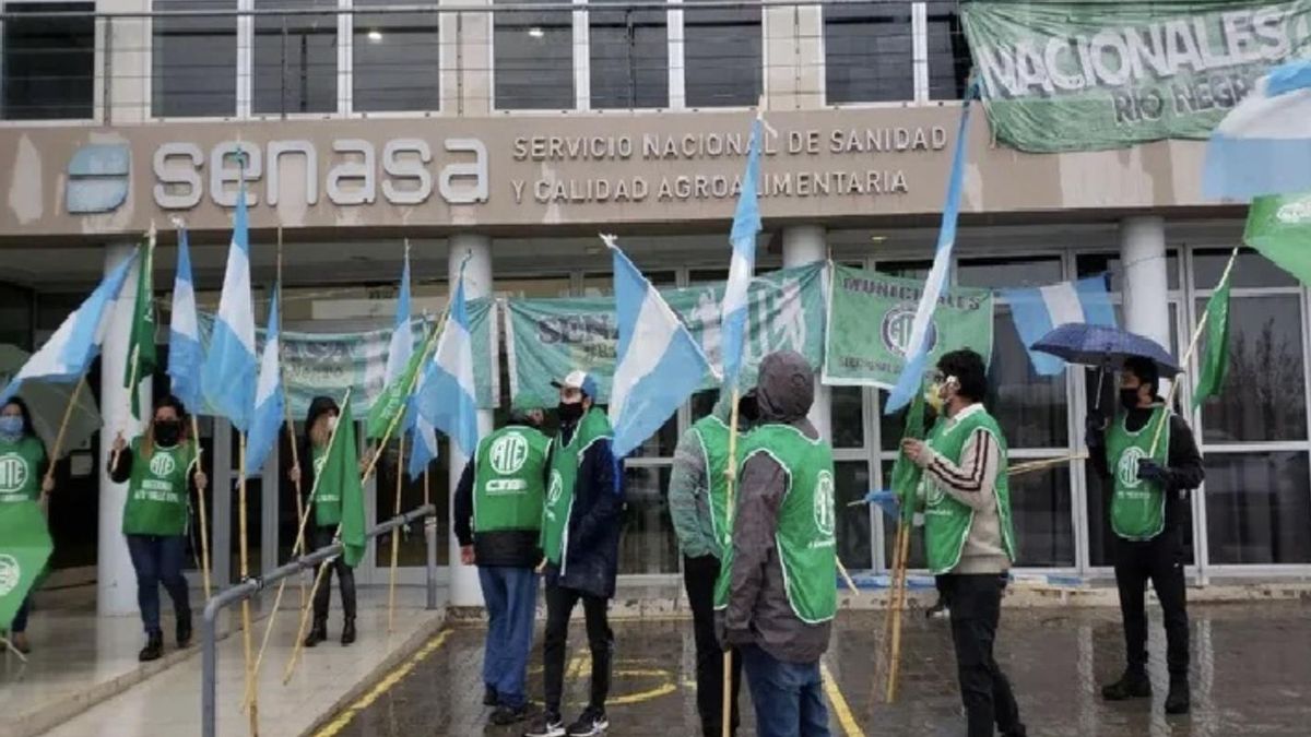 Trabajadores del Senasa denuncian el vaciamiento del organismo.