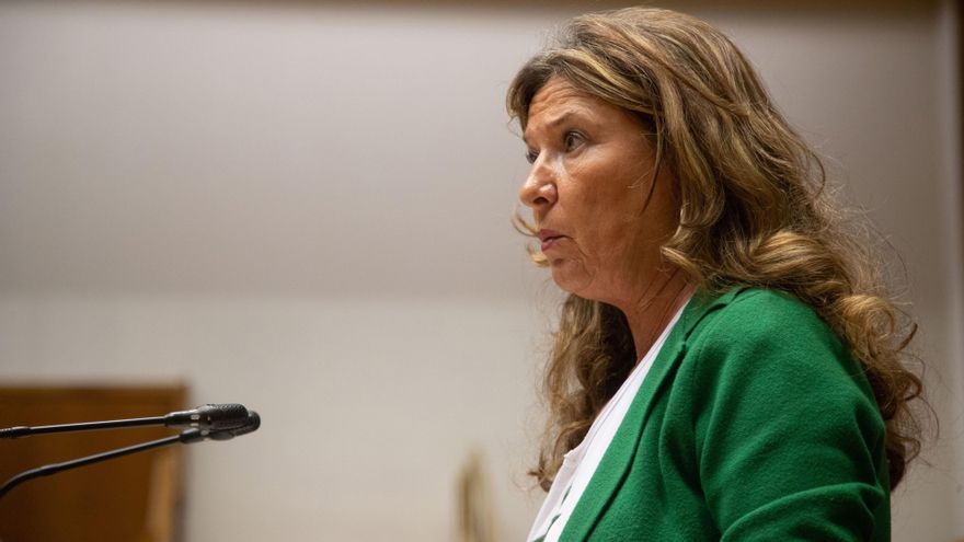 Salud admite que "es evidente" que fallaron los protocolos en Basurto si se consumó el rapto de un bebé