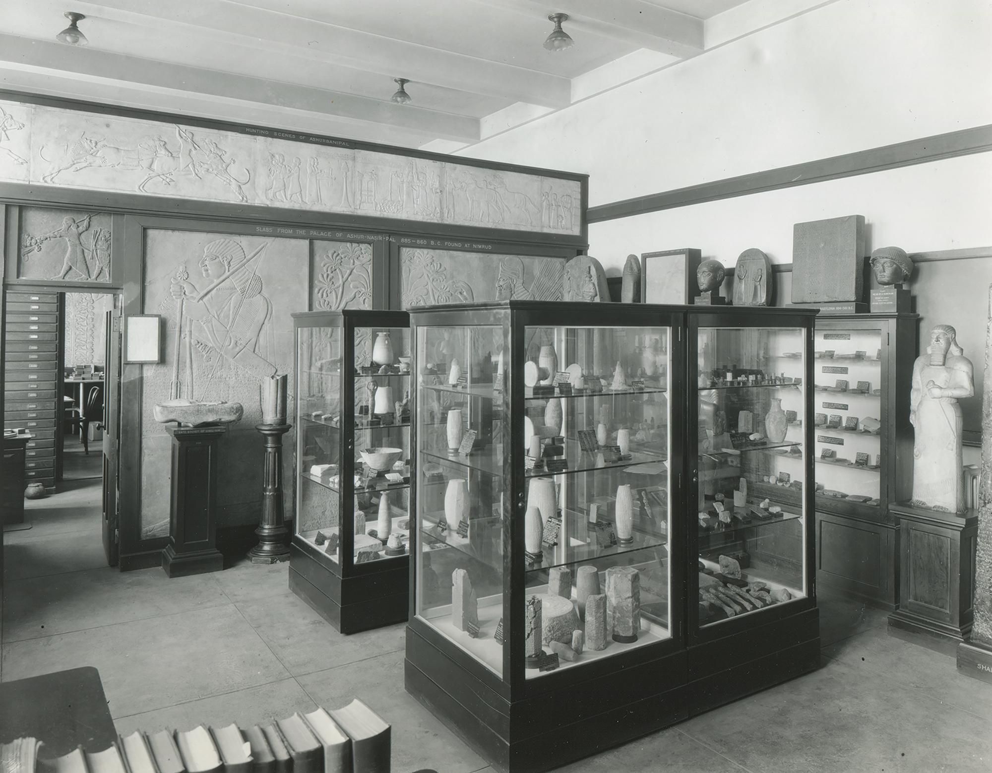 El alabastrón YBC en exhibición (estante superior del gabinete trasero) en su ubicación original en el Laboratorio Zoológico Osborn de Yale