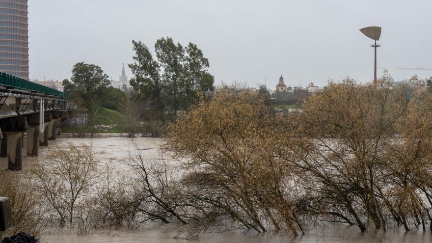 El río Guadalquivir con un caudal más elevado por la zona de la Cartuja.