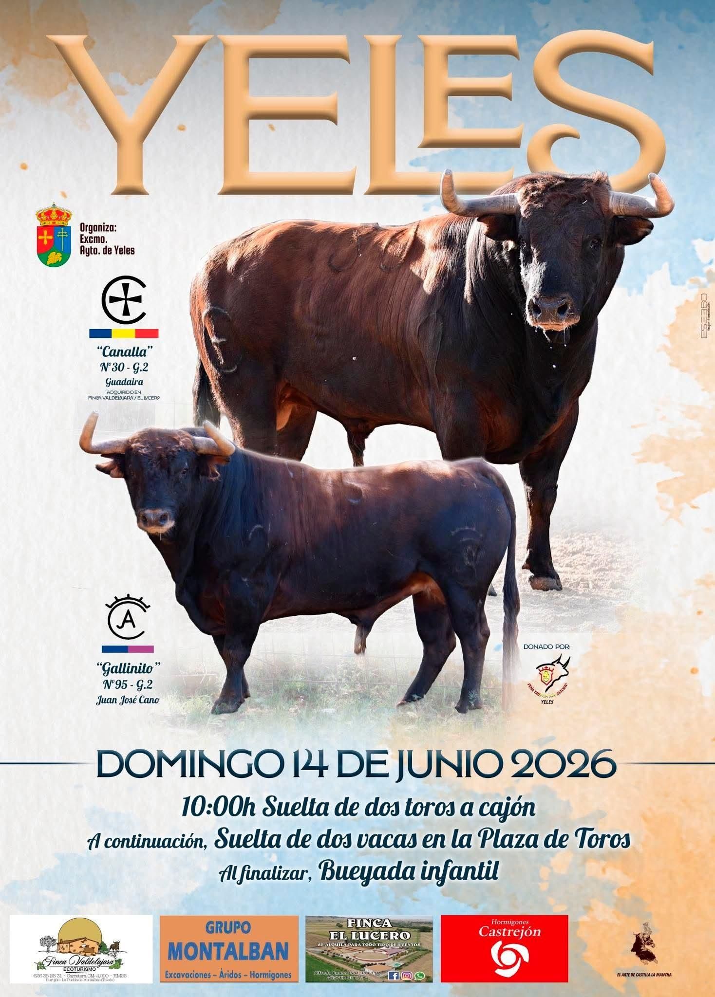 Convocatoria de bueyada infantil, al final