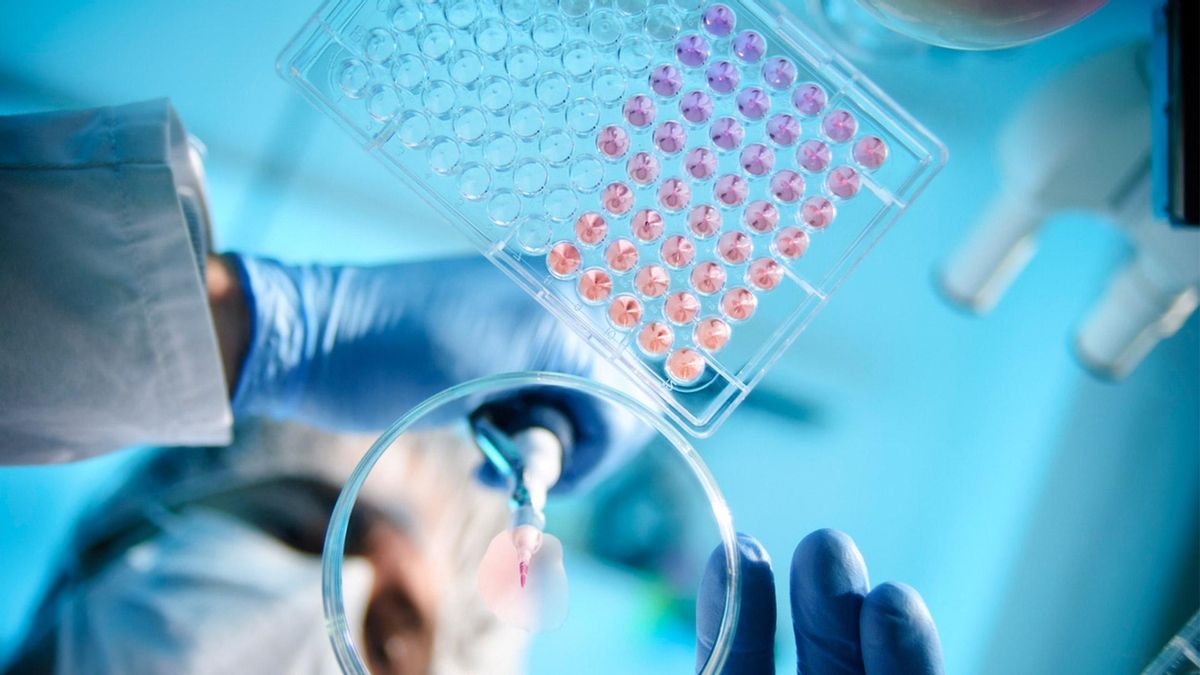 Experimento de laboratorio