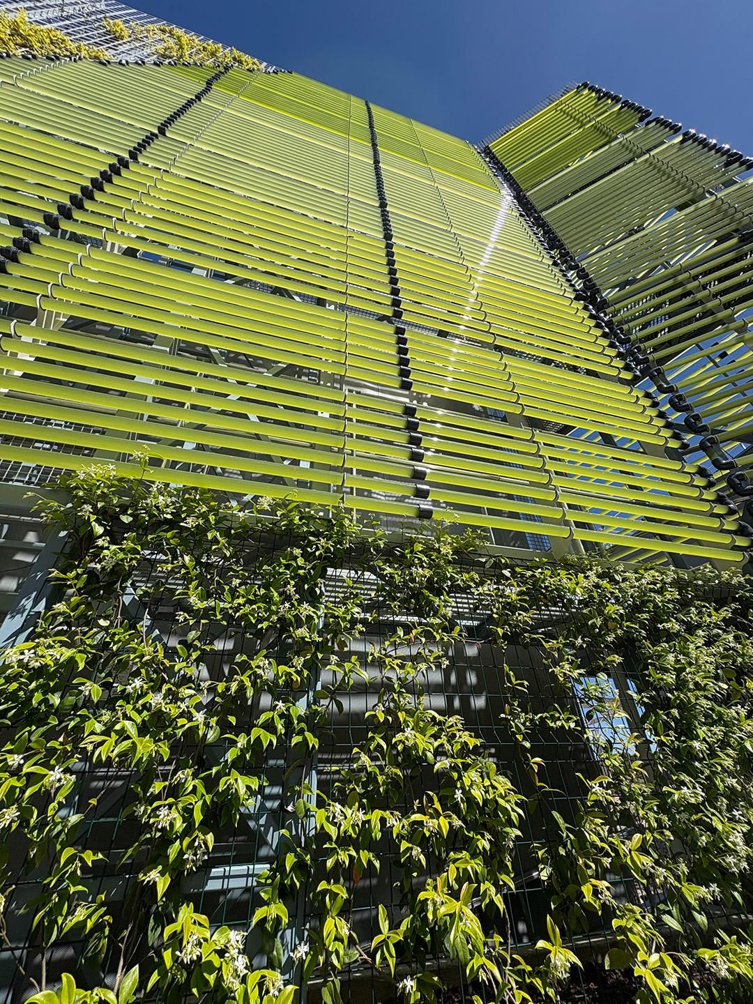 Fachada del proyecto 'Cultivando Microalgas'