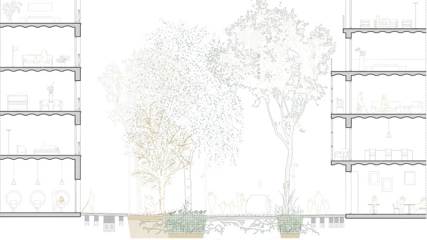 Distribución del espacio en la nueva calle del Eixample