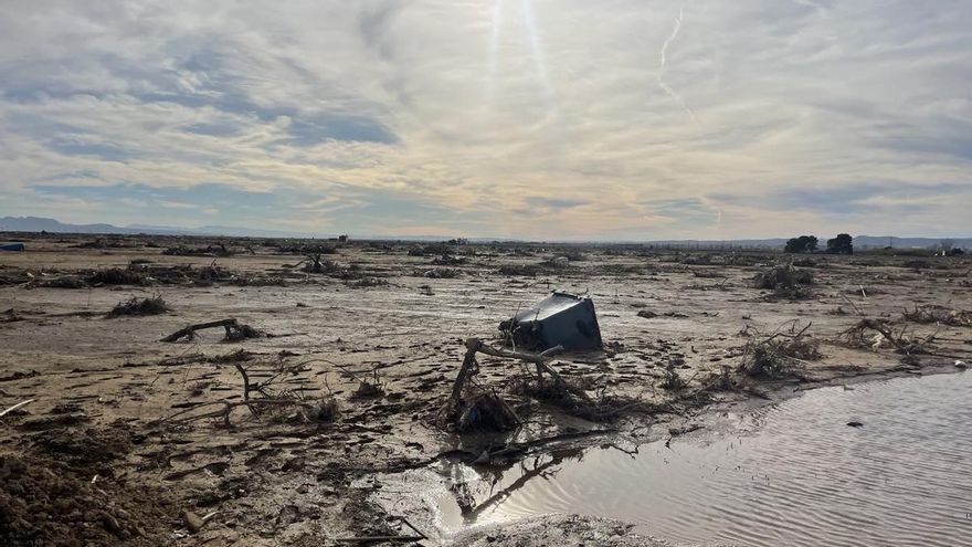 El edil del Ayuntamiento de València y la Generalitat tardaron 18 días en reunirse para evaluar el estado de l'Albufera tras la DANA