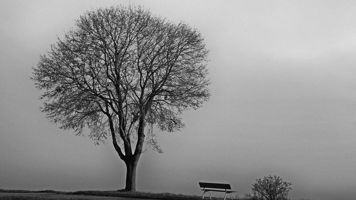 Noviembre: bruma y celebraciones