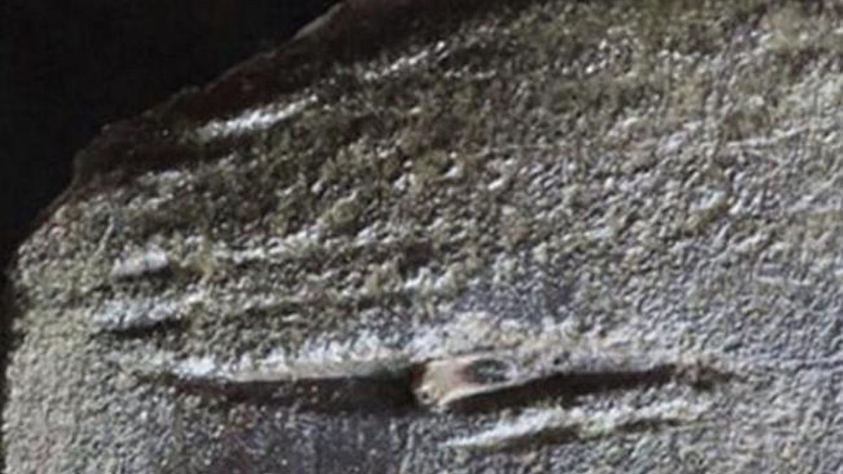 Las imágenes internas muestran fragmentos atrapados tras el ataque