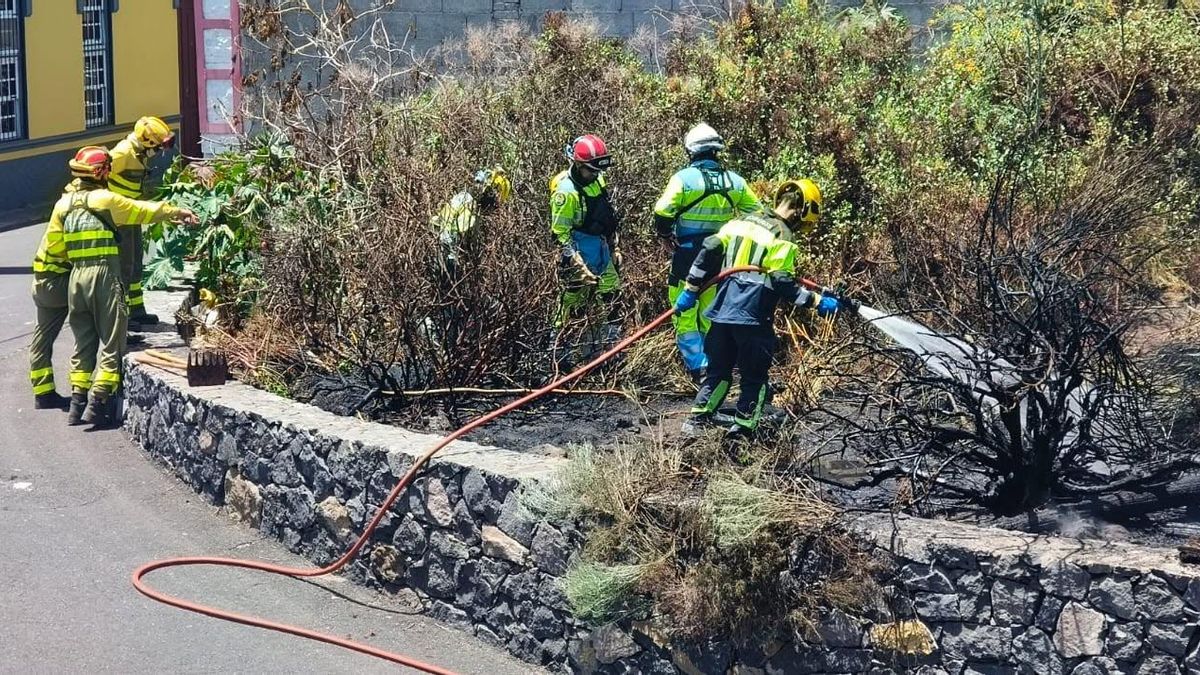 Efectivos  del dispositivo contraincendios en las tareas de extinción del conato en pastos y rastrojos en Hoyas Hondas, en el municipio Los Llanos de Aridane.