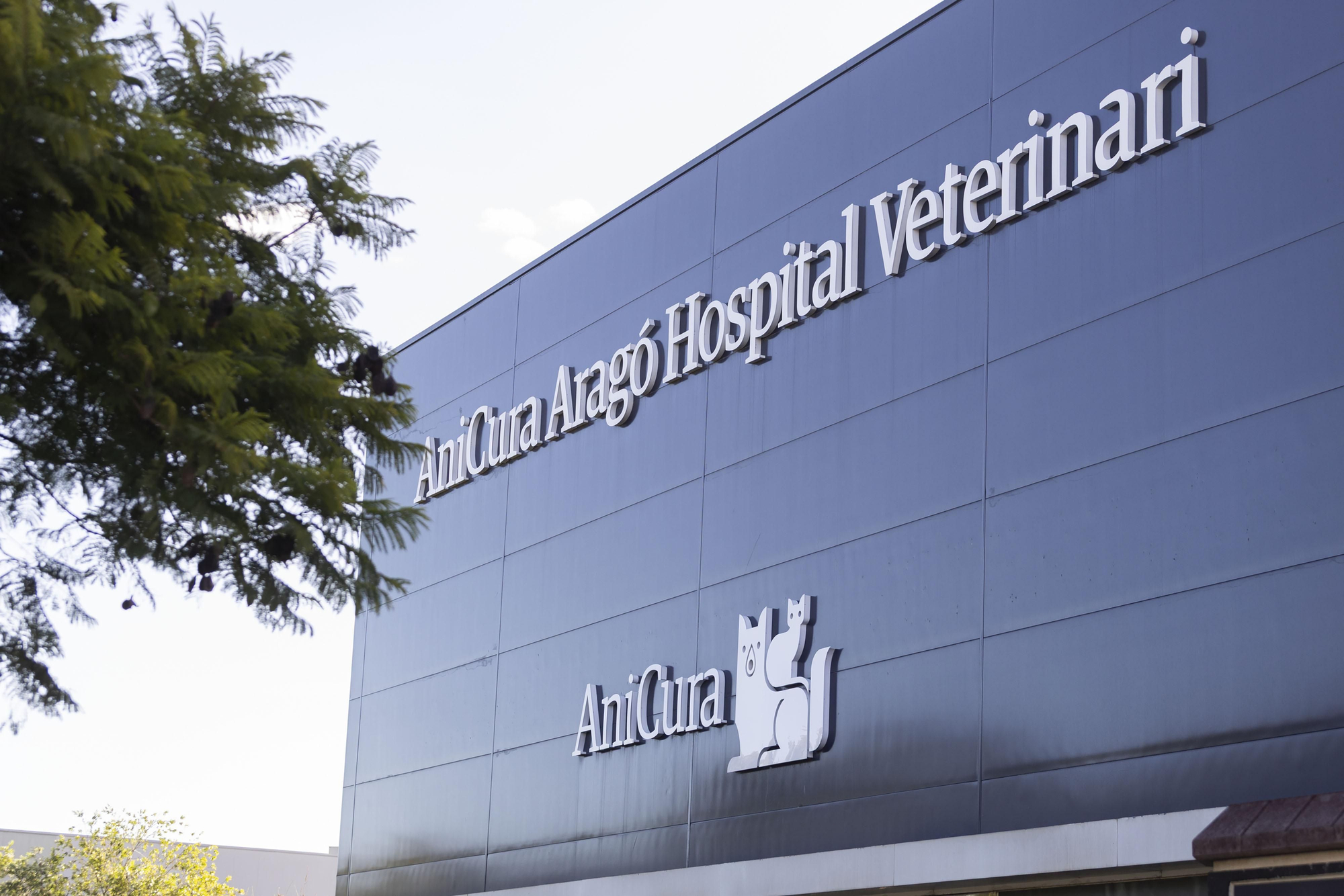 Façana d'AniCura Aragó Hospital Veterinari, a Palma