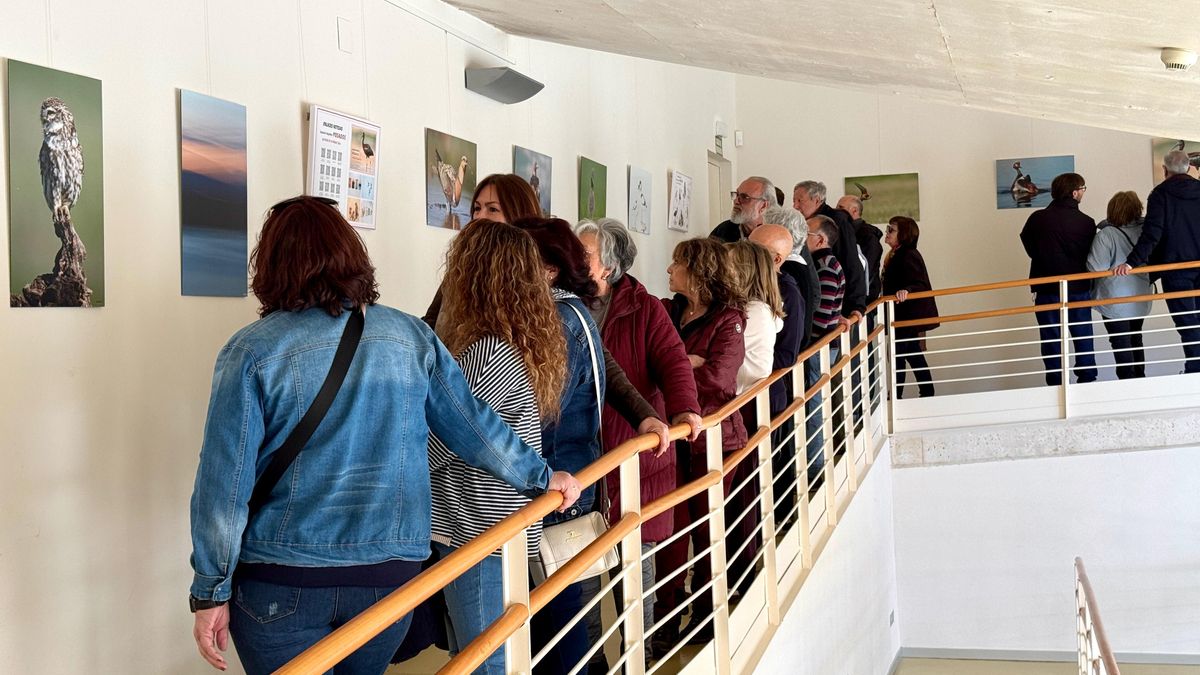 Asistentes a la exposición 'Posados' del Parque Nacional de Cabañeros.