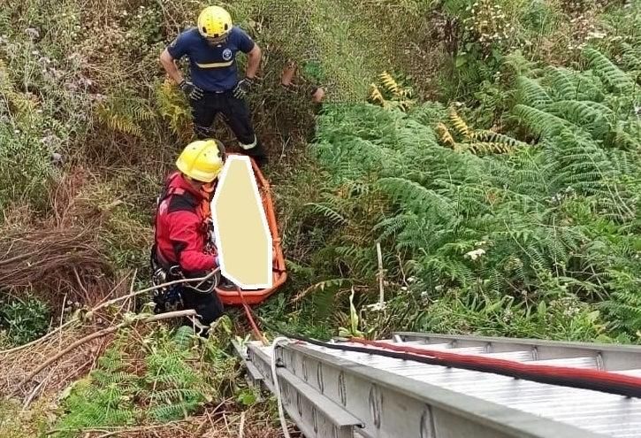 Un momento del rescate. Foto: BOMBEROS LA PALMA