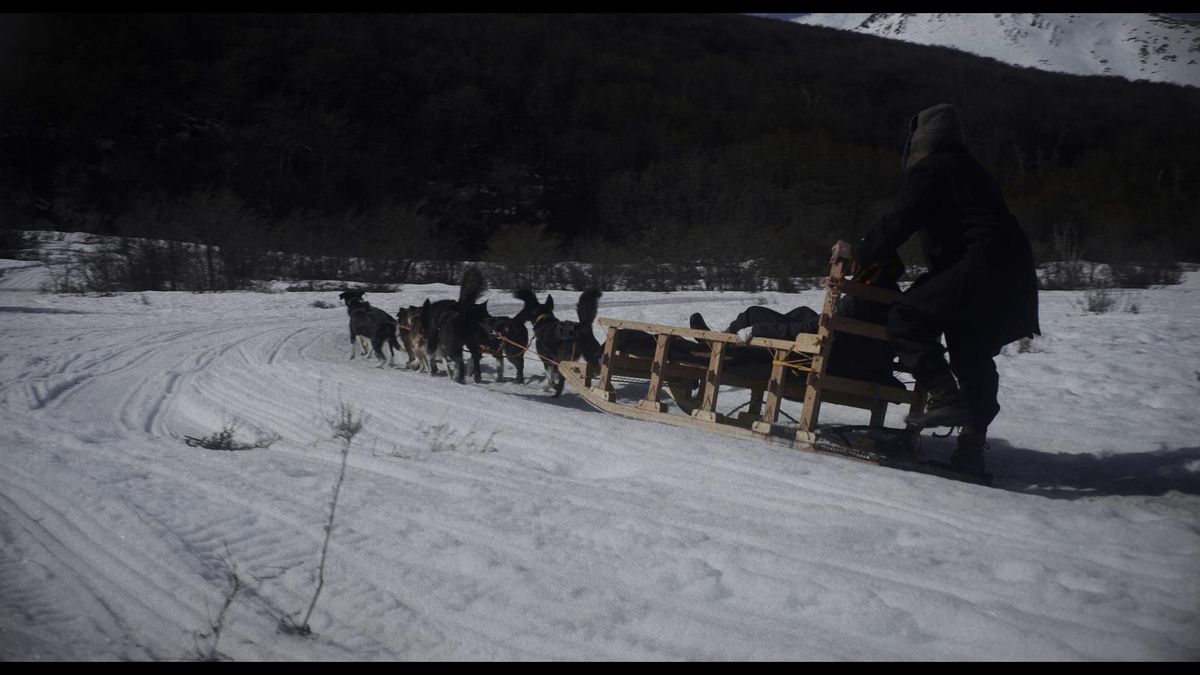 Nieve cerca de Moscú, un trineo, un nacimiento inminente