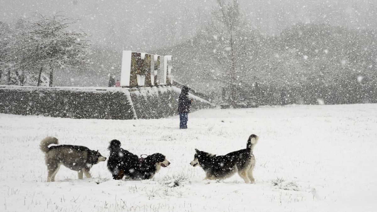 Los Reyes Magos regalan a Euskadi una postal nevada, aunque con importantes incidencias en carreteras