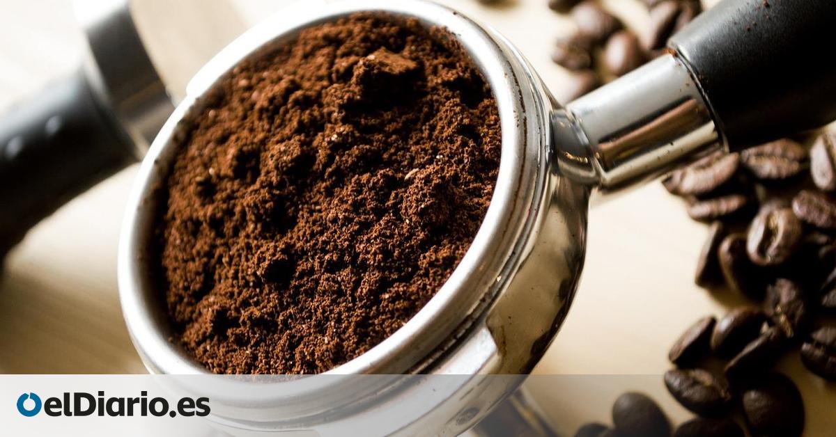 ¿Pueden los posos del café ayudar al crecimiento de tus plantas?