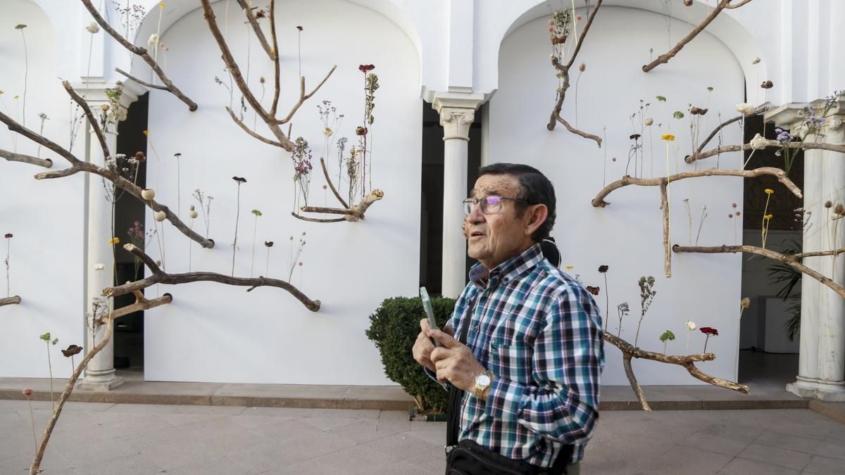 Flora 2025 - 'Arbor' (Museo Arqueológico)