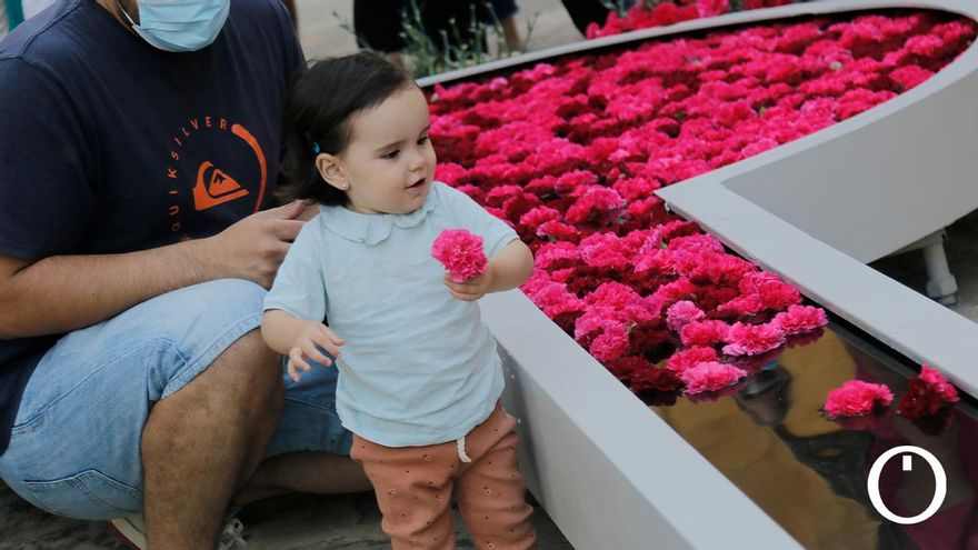 Instalación de Flora 2021 en la Mezquita - Catedral de Córdoba