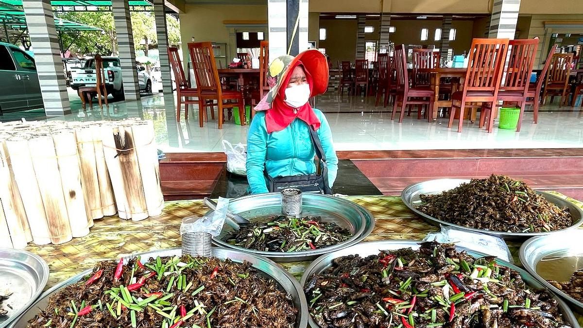 Una mirada a las mujeres que vendían insectos