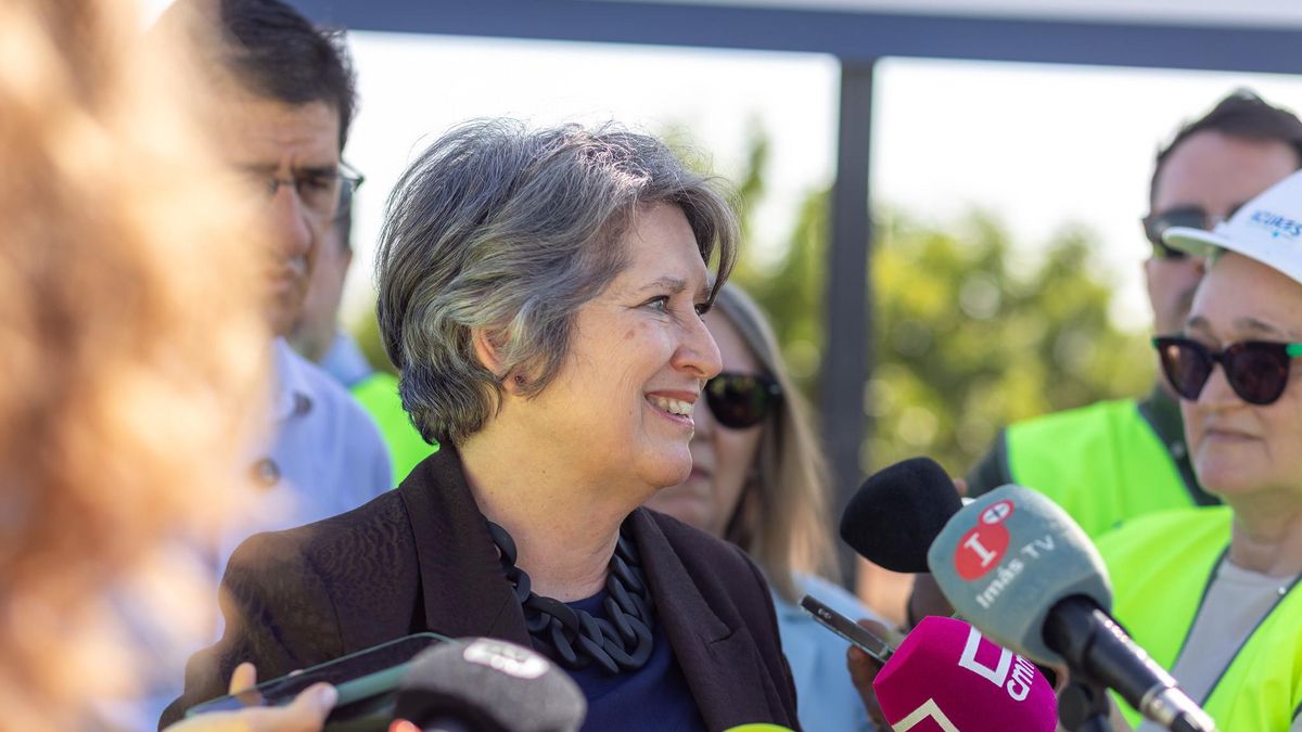 La consejera de Desarrollo Sostenible, Mercedes Gómez