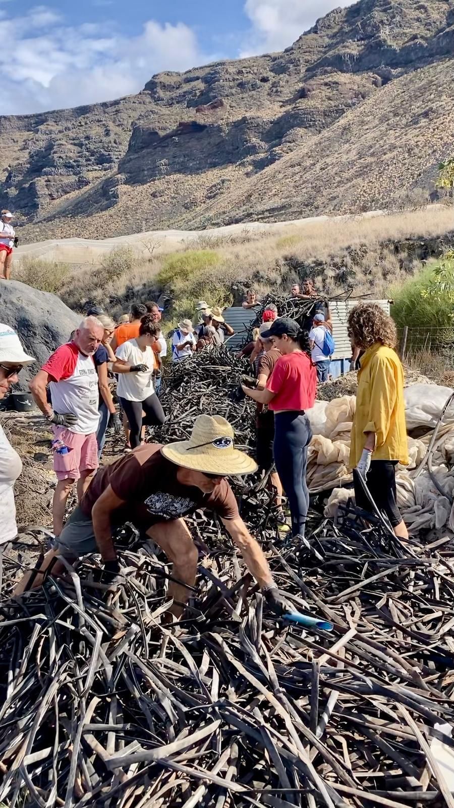 Limpieza de 'basuraleza' en la zona de El Remo.