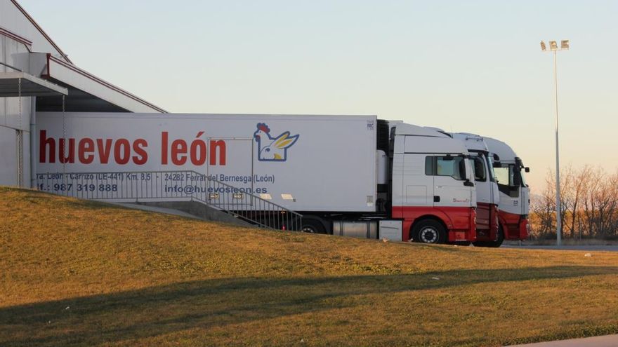 Camiones de la empresa 'Huevos León'. Foto corporativa.